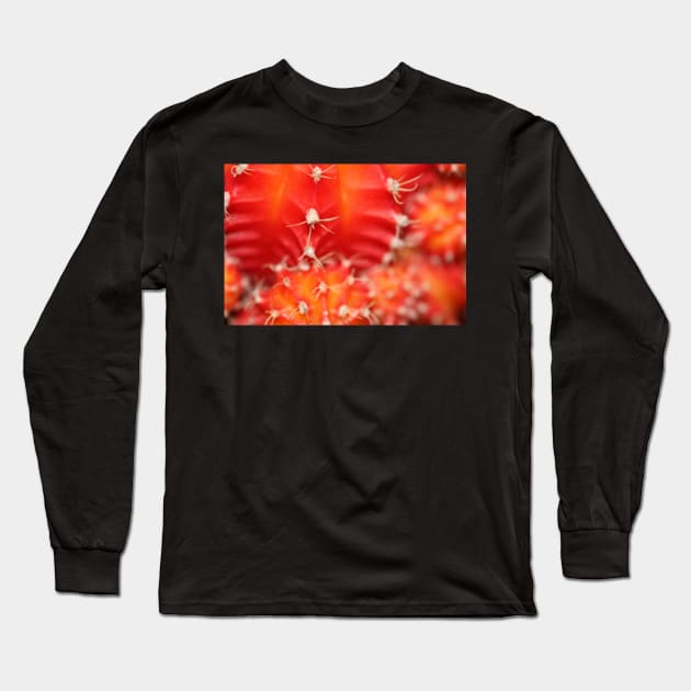 Cactus Sunrise Long Sleeve T-Shirt by ElisabethFriday